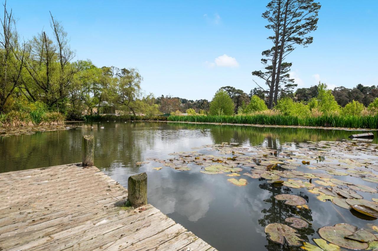 Parklands Country Gardens & Lodges Blue Mountains Blackheath Buitenkant foto
