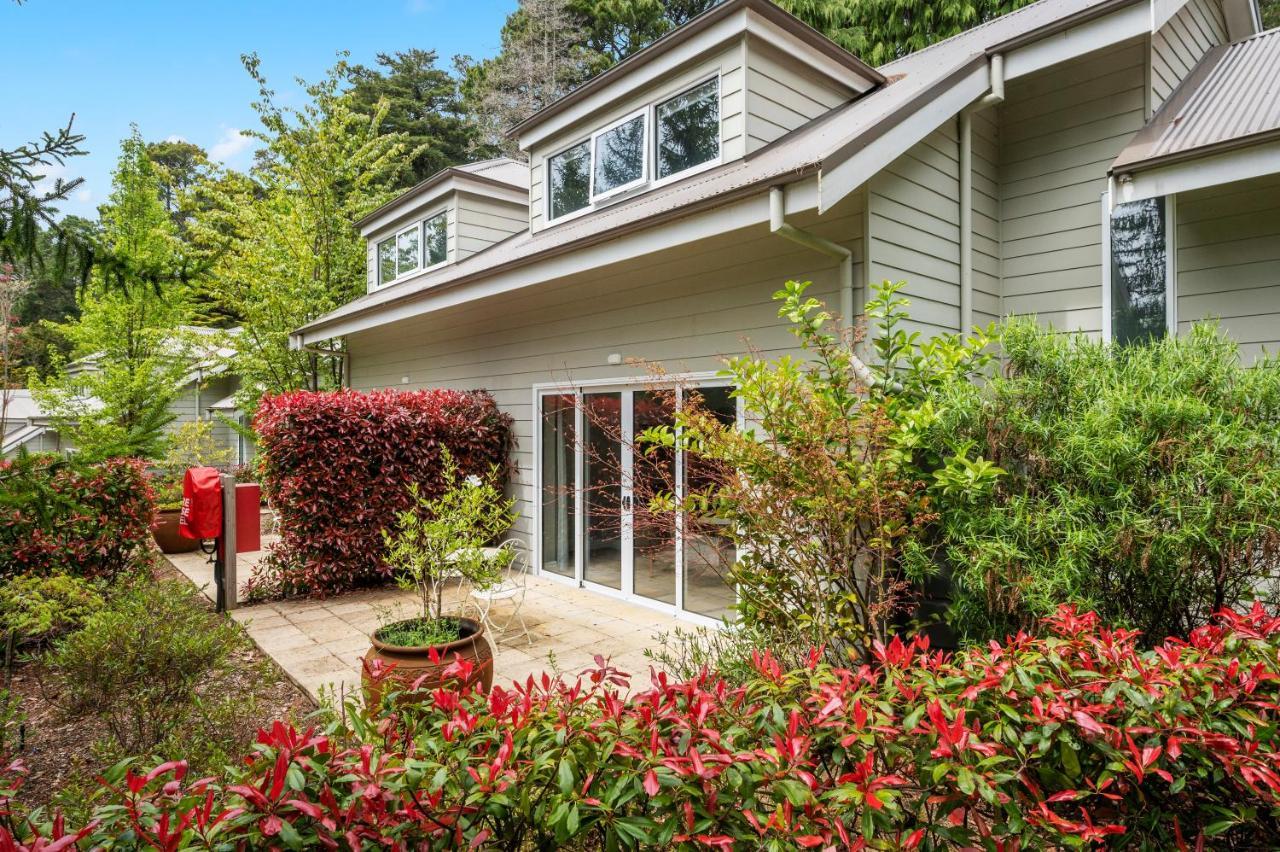 Parklands Country Gardens & Lodges Blue Mountains Blackheath Buitenkant foto